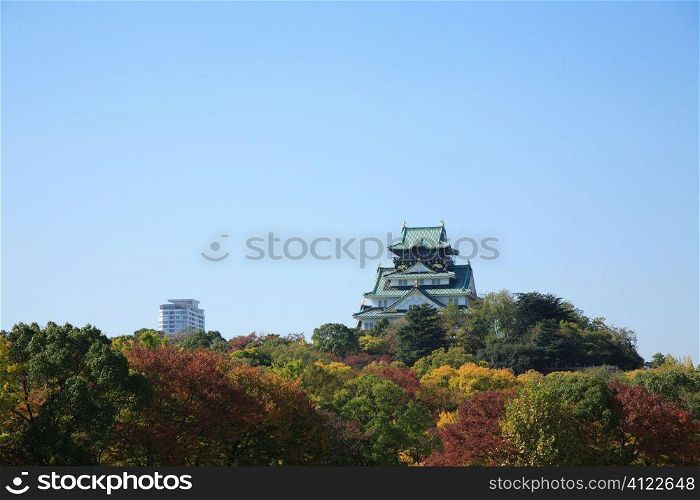 Temple over treetop