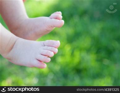 Tender baby feet with a green grass background