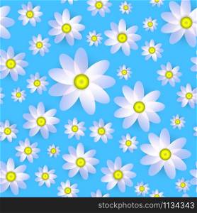 Tender pink daisy flowers on the blue background vector seamless pattern