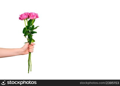 Tender pink roses bouquet in hand isolated on white background. Trendy banner for Valentines Day, International Womens Day or mothers day with copy space. Tender pink roses bouquet in hand isolated on white background. Trendy banner for Valentines Day, International Womens Day or mothers day with copy space.