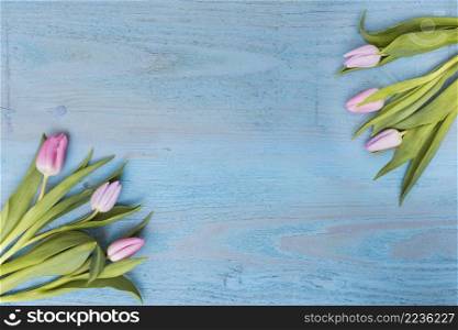 tender pink tulips composition from
