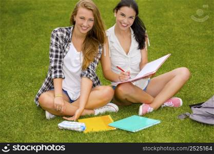 Tennage students sitting on the grass and study together