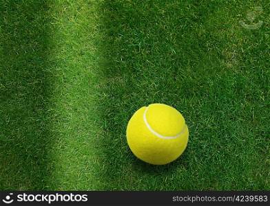 tennis ball beside the court line.