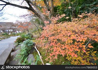 Tenryu-ji is famous for its scenic garden.