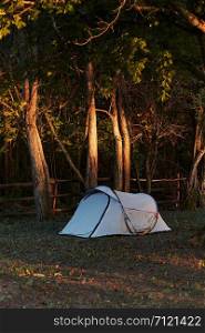 Tent among the trees on camping in forest at sunrise. Candid people, real moments, authentic situations