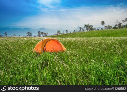 Tent area on hill bright day blue sky / Landscape camping tents yellow on field in the forest in the morning beautiful natural green grass meadow