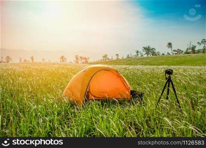 Tent area on hill mountain sunrise / Landscape camping tents yellow on field in the forest with digital camera in the morning beautiful natural green grass meadow