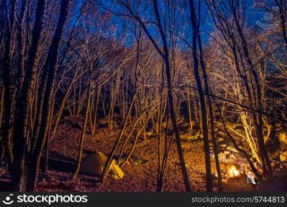 Tent illuminated with campfire light in night forest with blue sky
