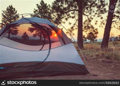 Tent in a forest campsite