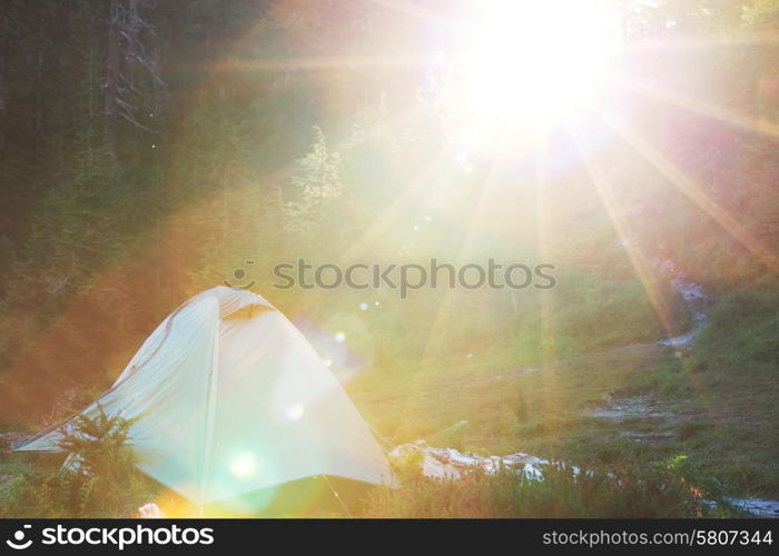 Tent in a forests campsite