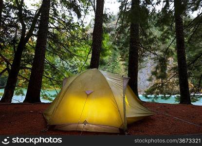 Tent in dark forest