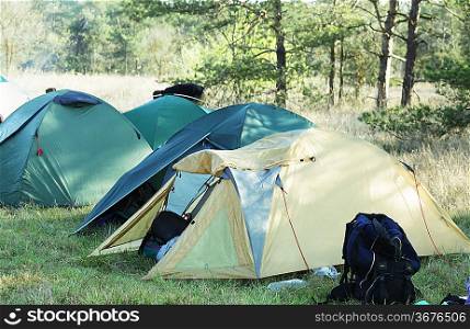 Tent in forest