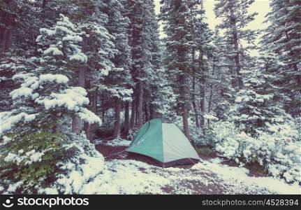 tent in snowy forest