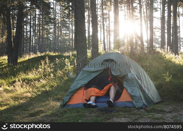 Tent in the forest on sunlight. Pine trees