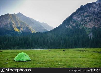 Tent in the mountains against the backdrop of forest and rocks on sunset.