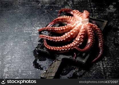 Tentacles of a fresh octopus on a cutting board. On a black background. High quality photo. Tentacles of a fresh octopus on a cutting board.