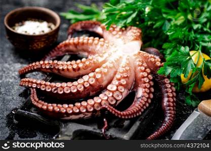 Tentacles of a fresh octopus on a cutting board. On a black background. High quality photo. Tentacles of a fresh octopus on a cutting board.
