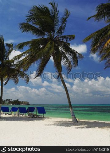 Tents and chairs on the beach, Spratt Bight Beach, San Andres, Providencia y Santa Catalina, San Andres y Providencia Department, Colombia