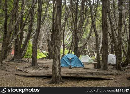Tents at campsite in forest, French Valley, Torres del Paine National Park, Patagonia, Chile