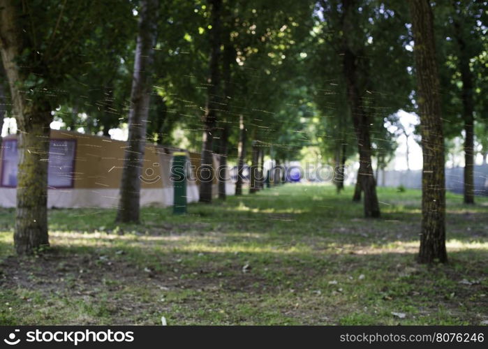 Tents in camping at sunset