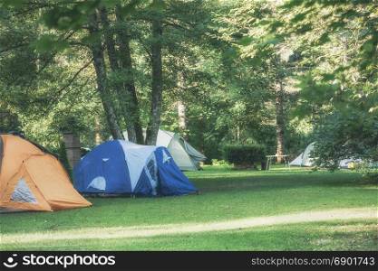 Tents on green grass lawn at the camping area