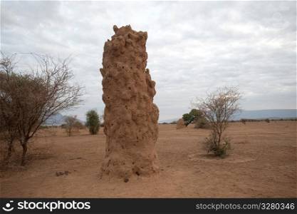Termite hill in Kenya
