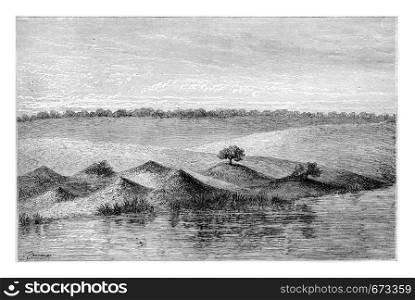 Termite Mounds in Southern Africa, covered by vegetation, engraving based on the English edition, vintage illustration. Le Tour du Monde, Travel Journal, 1881