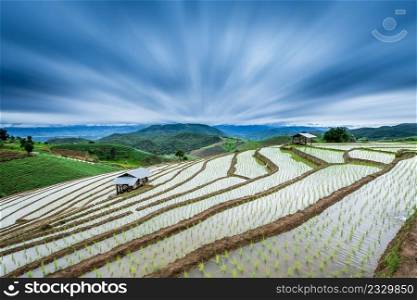 Terraced Paddy Field in Mae-Jam Village , Chaingmai Province , Thailand with radial blur effect.