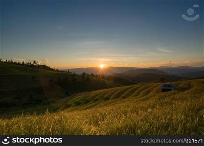 Terraced Rice Field at sunset time with sun rays in Chiangmai, Thailand