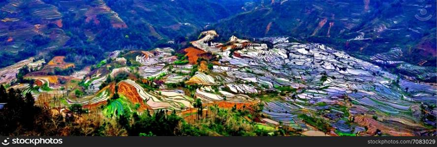 Terraced rice fields in Laohuzui Yuanyang County