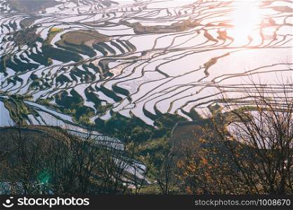 Terraced rice fields of YuanYang , China in the morning