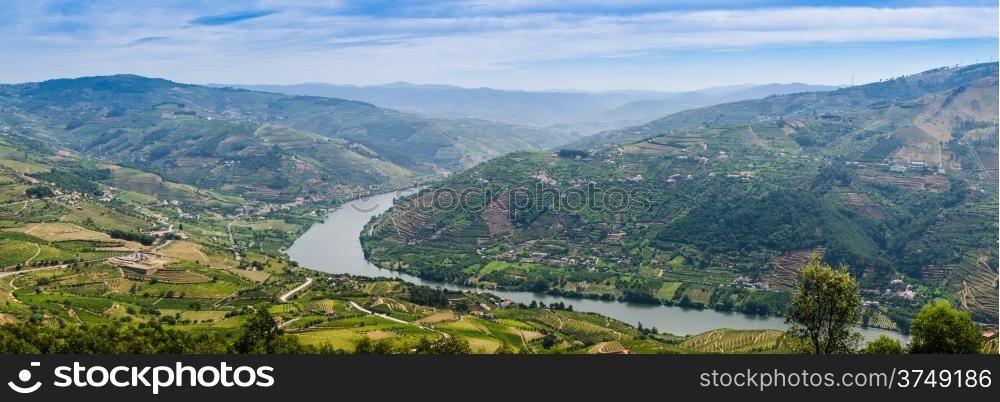 Terraced vineyards in Douro Valley, Alto Douro Wine Region in northern Portugal, officially designated by UNESCO as World Heritage Site
