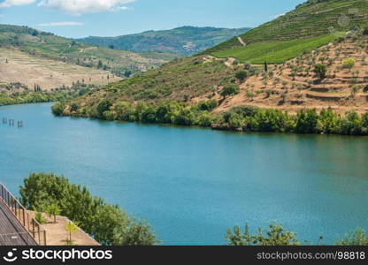 Terraced vineyards in Douro Valley Alto Douro Wine Region in northern Portugal officially designated by UNESCO as World Heritage Site.