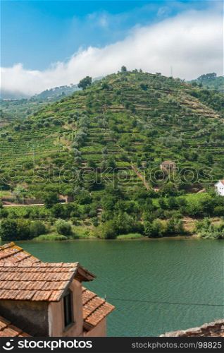 Terraced vineyards in Douro Valley Alto Douro Wine Region in northern Portugal officially designated by UNESCO as World Heritage Site.