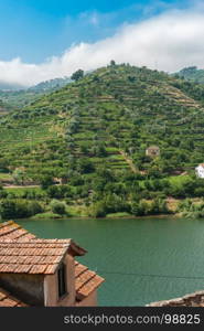 Terraced vineyards in Douro Valley Alto Douro Wine Region in northern Portugal officially designated by UNESCO as World Heritage Site.