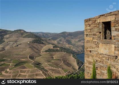 Terraces of grape vines for port wine production line the hillsides of the Douro valley in Portugal. Rows of grape vines line the valley of the River Douro in Portugal