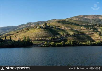 Terraces of wines and vineyards on the banks of the calm River Douro in Portugal near Pinhao. Terraced vineyard on the banks of the Douro river in Portugal
