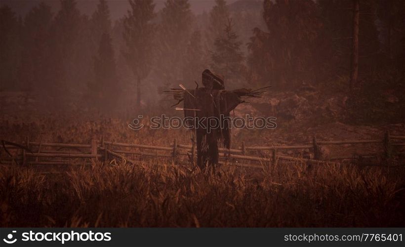 terrible scarecrow in dark cloak and dirty hat stands alone in autumn field at sunset time. terrible scarecrow in dark cloak and dirty hat stands alone in autumn field