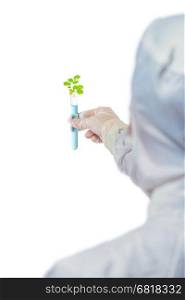 test tube with plant specimens in the hands a laboratory assistant on a white background
