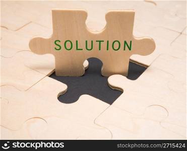 Text &rsquo;Solution&rsquo; in a puzzle piece