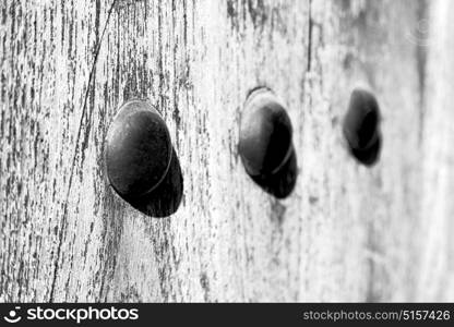 texture and abstract background line in oman old antique door