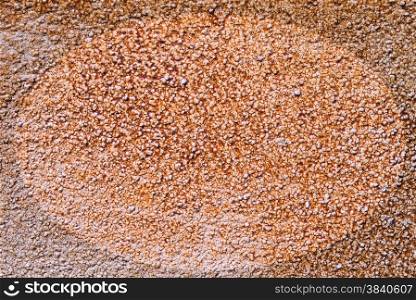 Texture and background of orange cement wall background