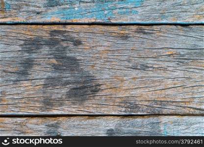 Texture and color of old log use as background