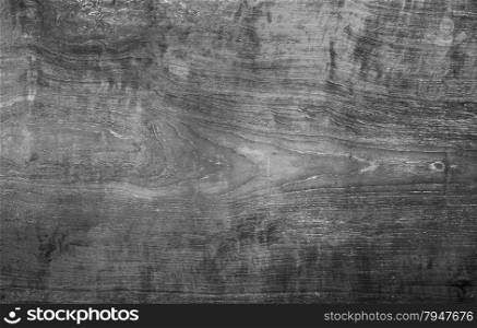 Texture and pattern of old log use as background - black and white