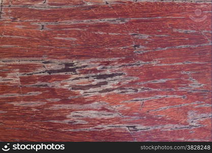 Texture and pattern of old loguse as background-vintage