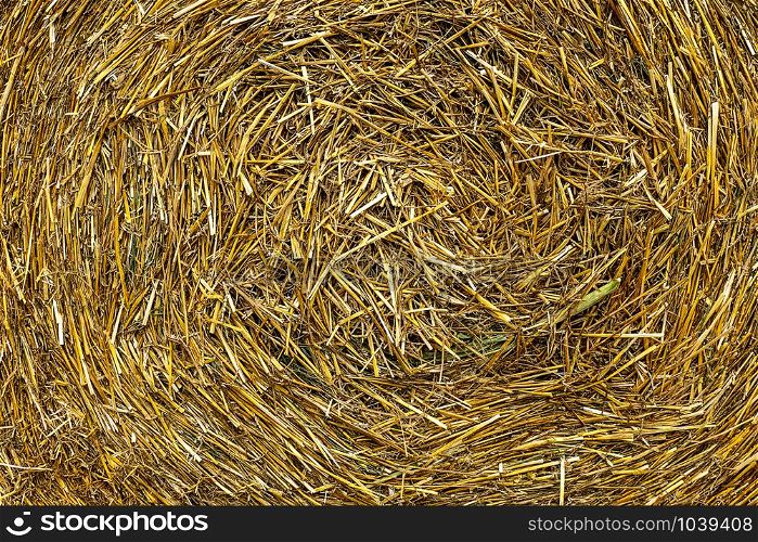 texture, background, close up straw circle