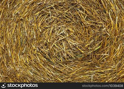 texture, background, close up straw circle