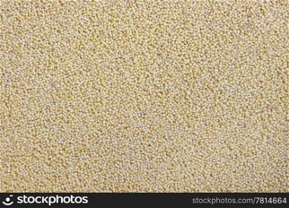 texture, background of millet