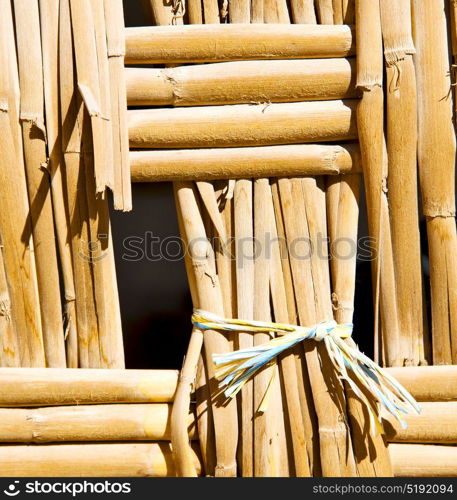 texture bamboo in morocco africa brown natural line closeup