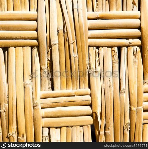 texture bamboo in morocco africa brown natural line closeup